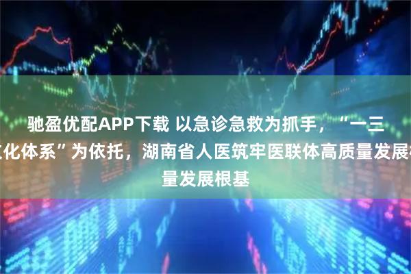 驰盈优配APP下载 以急诊急救为抓手，“一三五文化体系”为依托，湖南省人医筑牢医联体高质量发展根基